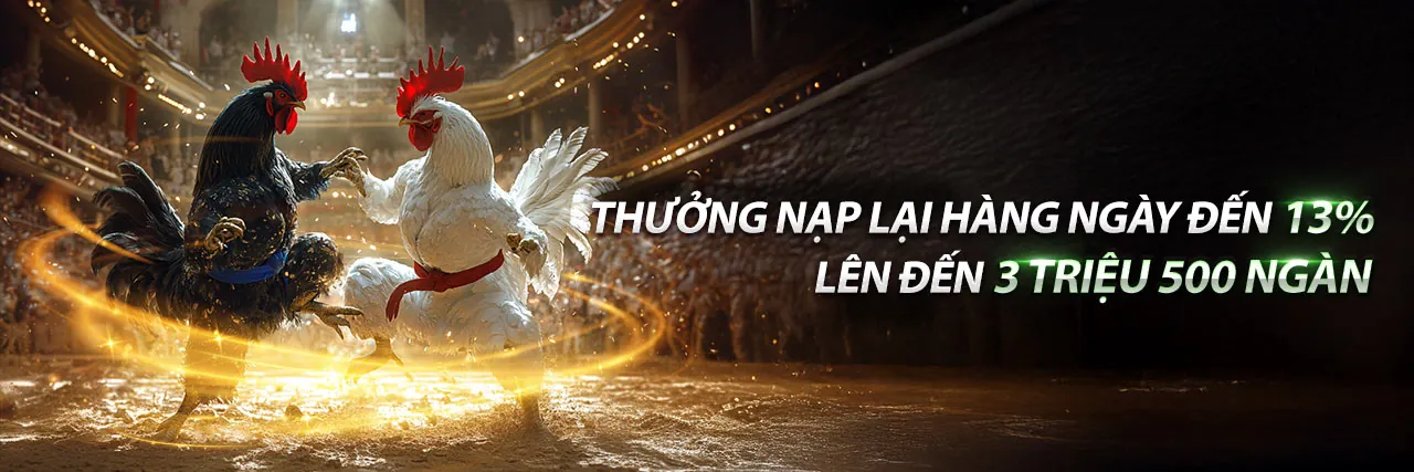 Hình ảnh đá gà trực tuyến sôi động